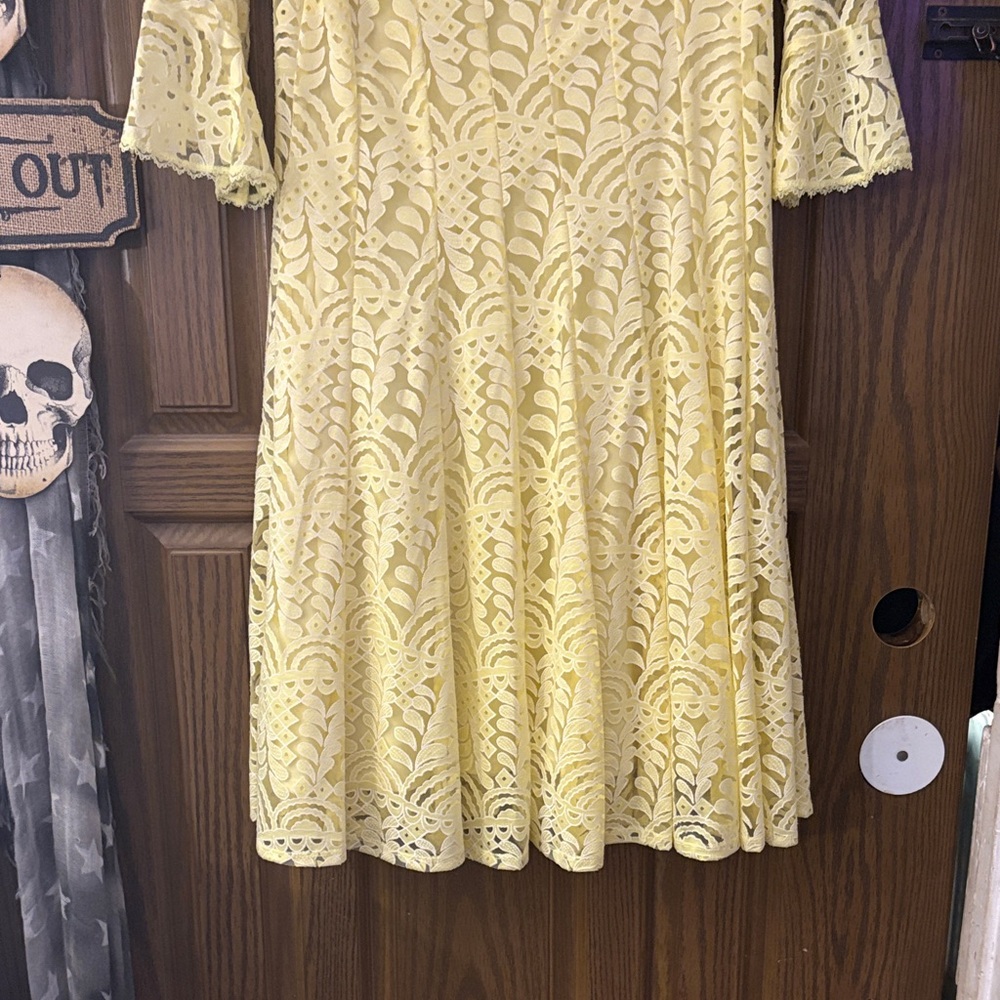 Rabbit Rabbit Rabbit Sunny Yellow Lace Dress - Picture 7 of 8